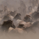 A herd of modern horses.